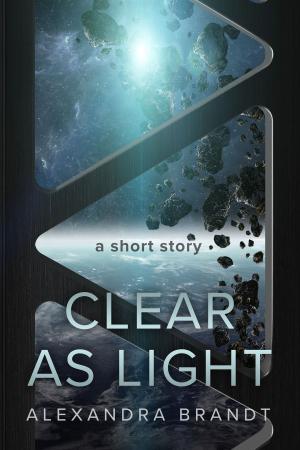 Cover of the book Clear as Light by Alexandra Brandt