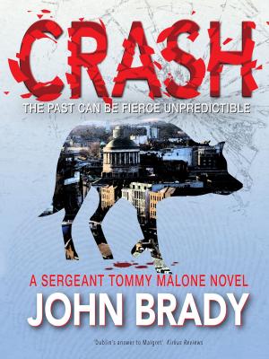 Cover of the book Crash by Brett Halliday