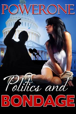 Cover of the book POLITICS AND BONDAGE by Tori Westwood, Kimmy Welsh, Nicki Menage