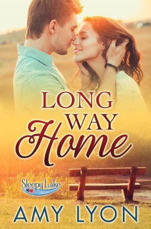 Cover of the book Long Way Home by DS Delacroix