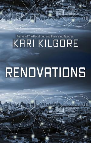 Cover of Renovations by Kari Kilgore, Spiral Publishing, Ltd.
