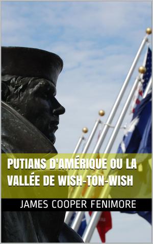 Cover of the book putains d'amérique ou la vallée wish-ton-wish by james fernimore cooper