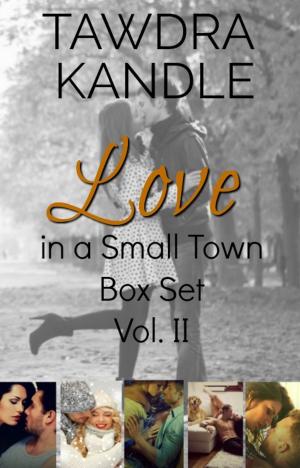 Cover of Love in a Small Town Box Set Volume II