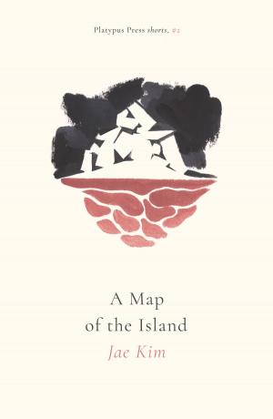 Cover of the book A Map of the Island by Romain Combes