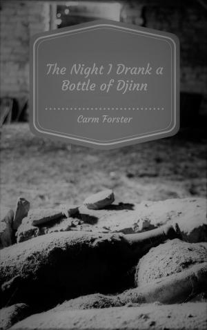 Cover of the book The Night I Drank a Bottle of Djinn by James Mullaney