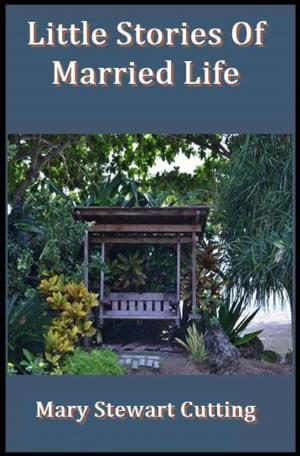 Cover of the book Little Stories of Married Life by Samantha Blanke