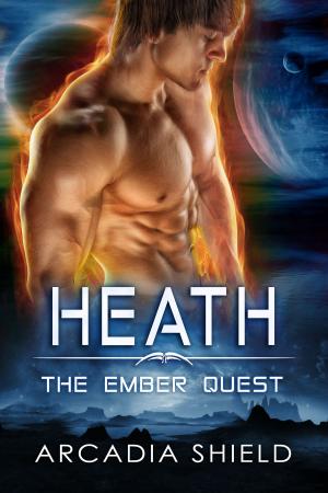 Cover of the book Heath by K.E. O'Connor