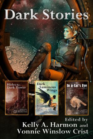Cover of the book Box Set: Dark Stories by Carla Reighard