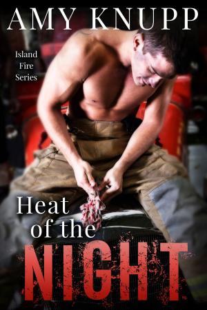 Cover of the book Heat of the Night by Amy Knupp, Natasha Lake, Emily Leigh