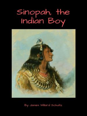 Cover of Sinopah, the Indian Boy