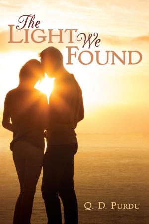 Cover of the book The Light We Found by Shannon Stacey