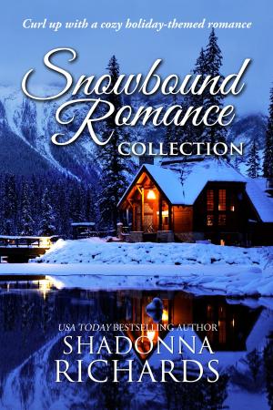 Cover of the book Snowbound Romance Collection by John Heath