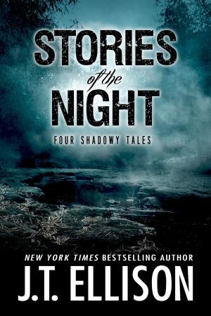 bigCover of the book Stories of the Night by 
