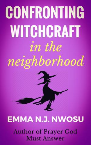 Cover of the book CONFRONTING WITCHCRAFT IN THE NEIGHBORHOOD by Todd Daigneault