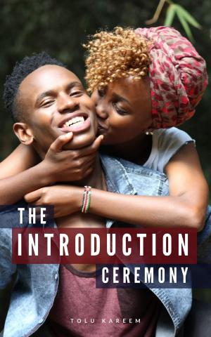 Cover of the book The Introduction Ceremony by Katie Hewett