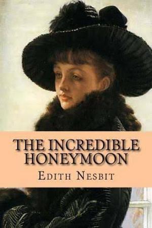 Cover of the book The Incredible Honeymoon by Menalton Braff
