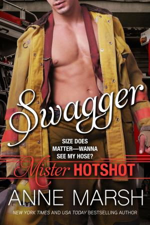 Cover of the book Swagger by Anne Marsh