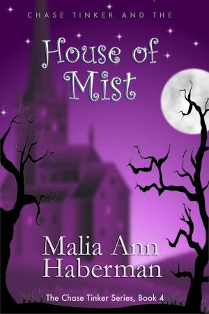 bigCover of the book Chase Tinker and the HOUSE OF MIST by 