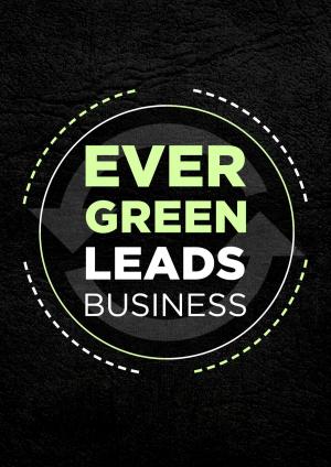 Book cover of Evergreen Leads Business Blueprint