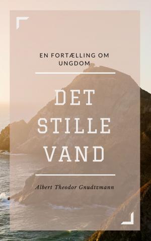 bigCover of the book Det stille Vand by 