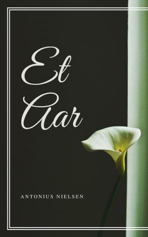 Cover of the book Et Aar by Herman Bang