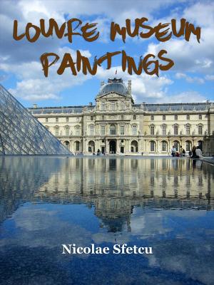 Book cover of Louvre Museum - Paintings