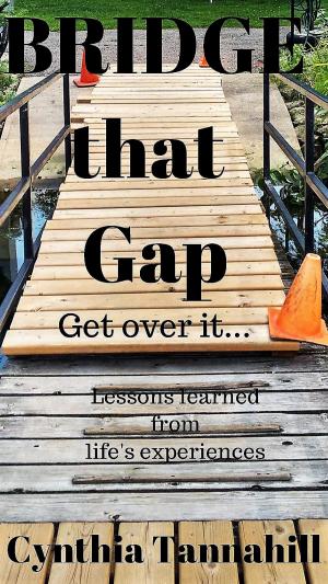 bigCover of the book Bridge that Gap. Get over it... by 
