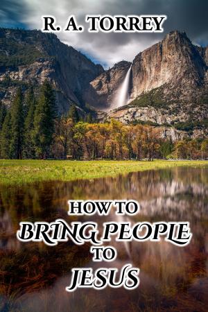 Cover of the book How to Bring People to Jesus by Andrew Ten Brook