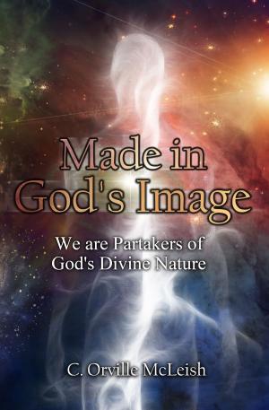 Cover of Made in God's Image