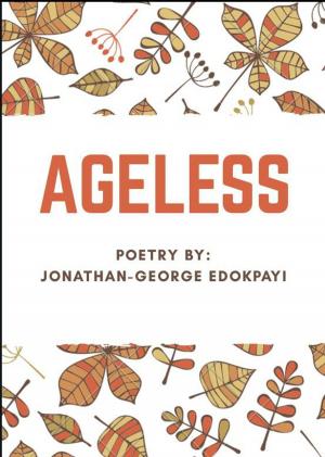 Cover of the book Ageless by Markus Grier