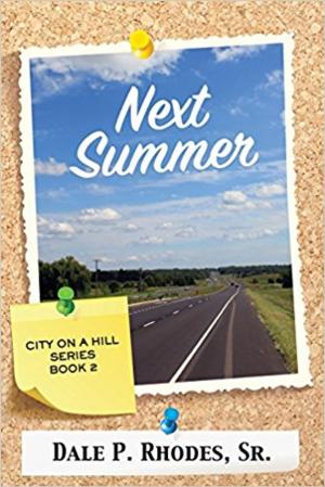 Cover of the book Next Summer by Jenn Sadai