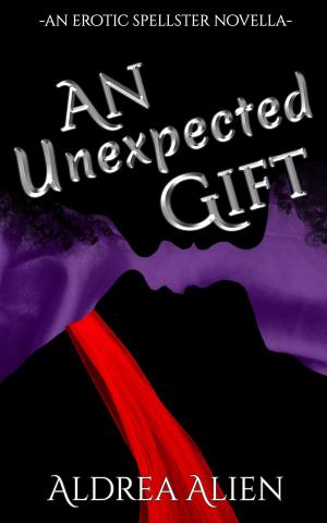 Cover of the book An Unexpected Gift by Joséphine Laturlutte, Valérie Mouillaflot