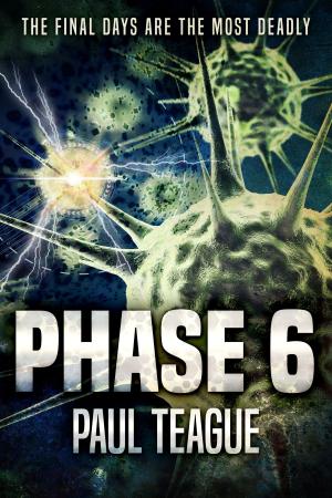 Cover of the book Phase 6 by Mary E. Lowd, Ken MacGregor