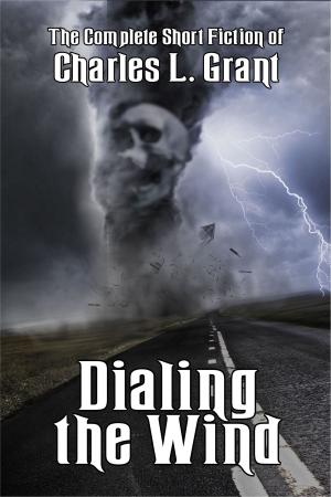 Cover of the book Dialing the Wind by Sara Brooke