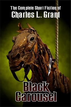 Book cover of The Black Carousel