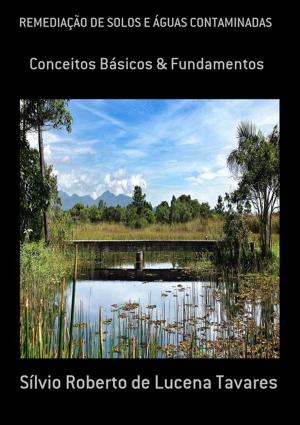 Cover of the book RemediaÇÃo De Solos E Águas Contaminadas by Pedro Marangoni