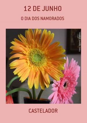 Cover of the book 12 De Junho by Ricardo De Moraes