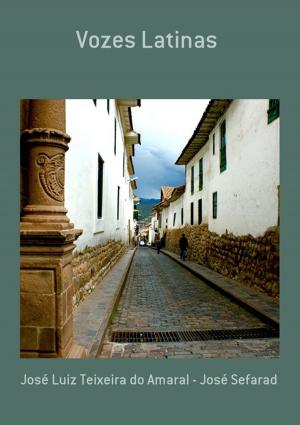 Cover of the book Vozes Latinas by Neiriberto Silva De Freitas