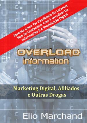 Cover of the book Overload Information by Jeová Rodrigues Barbosa