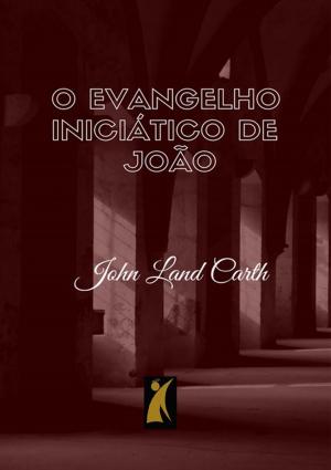 Cover of the book O Evangelho Iniciático De João by err_json