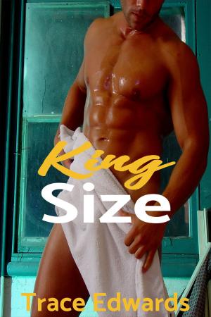 bigCover of the book King Size by 