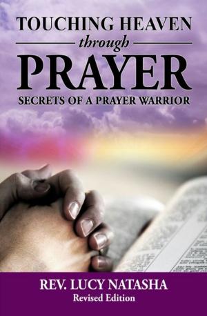 Cover of the book Touching Heaven Through Prayer by Tom Soloway Pinkson, Ph.D.