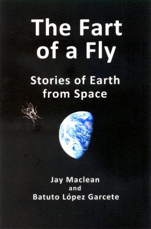 Book cover of The Fart of a Fly