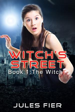 Book cover of The Witch