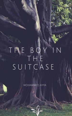 Cover of the book The Boy In The Suitcase by B. Hesse Pflingger