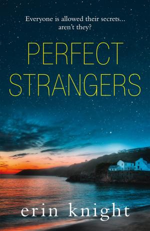 Cover of the book Perfect Strangers by Nikki Moore