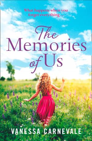 Cover of the book The Memories of Us by Allison Van Diepen