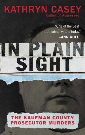 bigCover of the book In Plain Sight by 