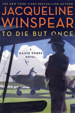 Cover of the book To Die but Once by Wally Lamb