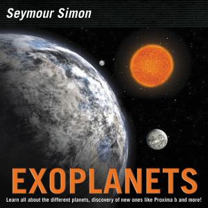 Cover of the book Exoplanets by Anne Nesbet